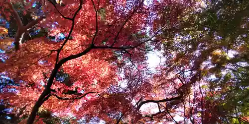 長谷寺(神奈川県)