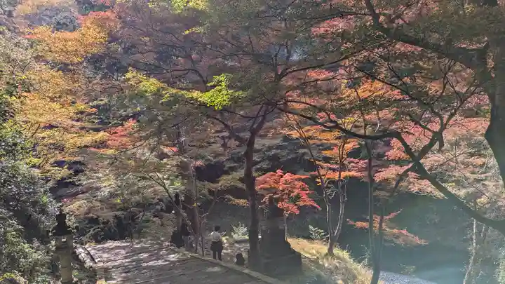 西明寺(京都府)