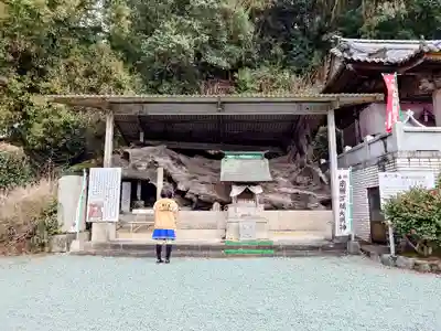 正善寺（生木地蔵）の自然