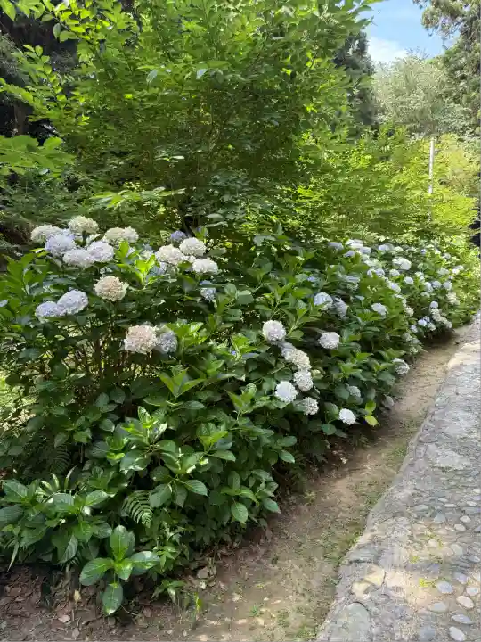 桜井大神宮(福岡県)