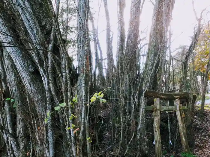 稲荷神社の建物その他