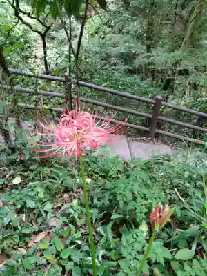 天安河原宮(宮崎県)