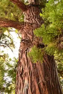 仁科神明宮(長野県)