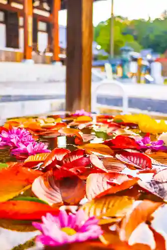 くろ谷 金戒光明寺の手水舎