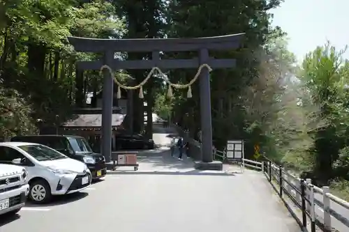 戸隠神社中社の鳥居