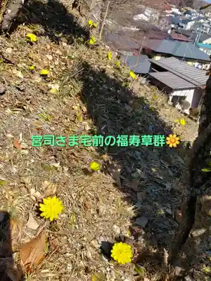 三春大神宮(福島県)