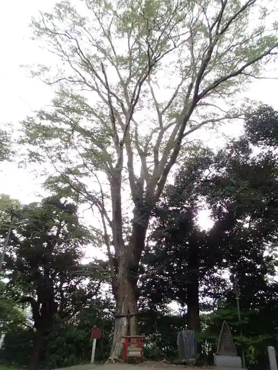 大鷲神社の自然