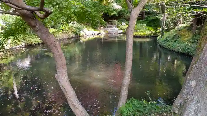 鶴岡八幡宮(神奈川県)