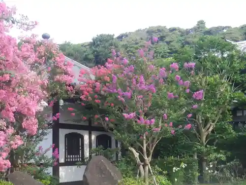 長谷寺のその他建物