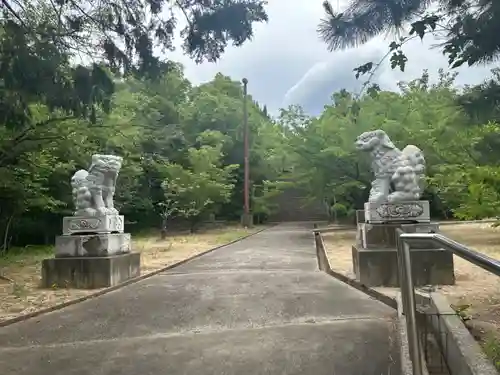 苅田神社の狛犬