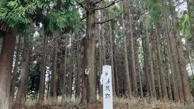 美和神社の自然