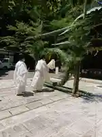 大國魂神社のお祭り