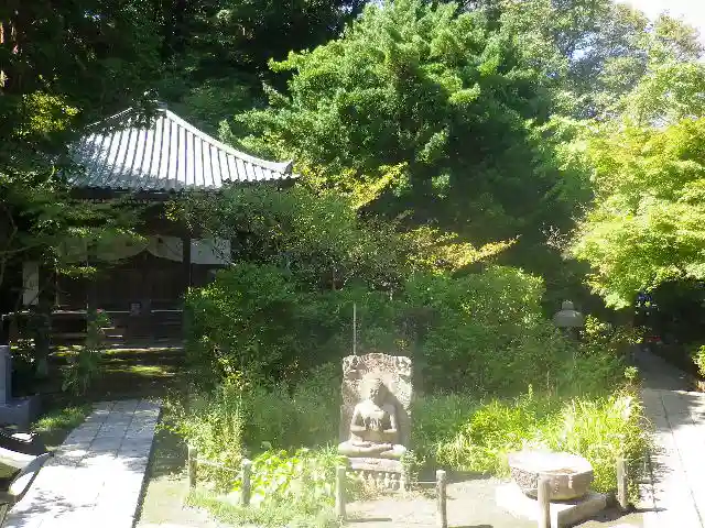 安國論寺(安国論寺)の自然