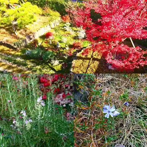 寿量山　速成寺の自然