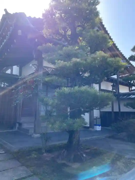 妙智院(京都府)