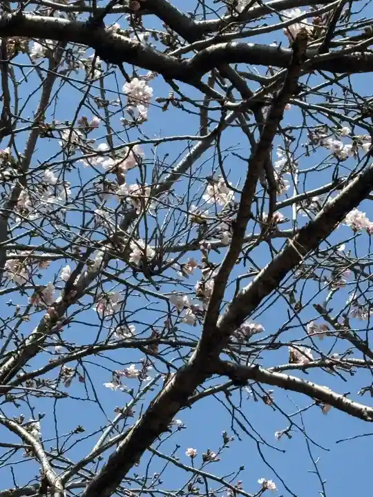 春日神社の{uncategorized: "未分類", other: "その他", undefined: "問題あり", building: "その他建物", grave: "お墓", sacred_gate: "鳥居", guardian: "狛犬", statue: "像", buddha: "仏像", history: "歴史", nature: "自然", garden: "庭園", animal: "動物", pagoda: "塔", temizu: "手水舎", mountain_gate: "山門・神門", sanctuary: "本殿・本堂", subordinate: "末社・摂社", art: "芸術", scenery: "景色", jizo: "地蔵", ema: "絵馬", goshuin: "御朱印", omikuji: "おみくじ", items: "授与品その他", amulet: "お守り", goshuincho: "御朱印帳", eats: "食事", festival: "お祭り", votive_dance: "神楽", shichigosan: "七五三参", wedding: "結婚式", experience: "体験その他", initially: "初詣", around: "周辺", anti_infection: "感染症対策"}
