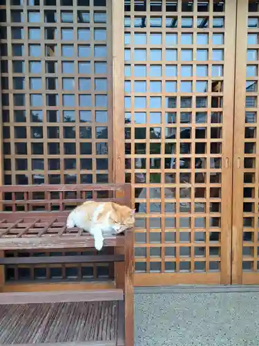 善了寺(神奈川県)