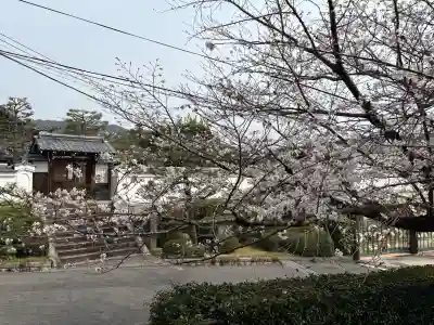 くろ谷 金戒光明寺(京都府)