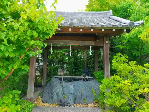 大学院の手水舎