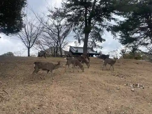東大寺戒壇院戒壇堂(奈良県)