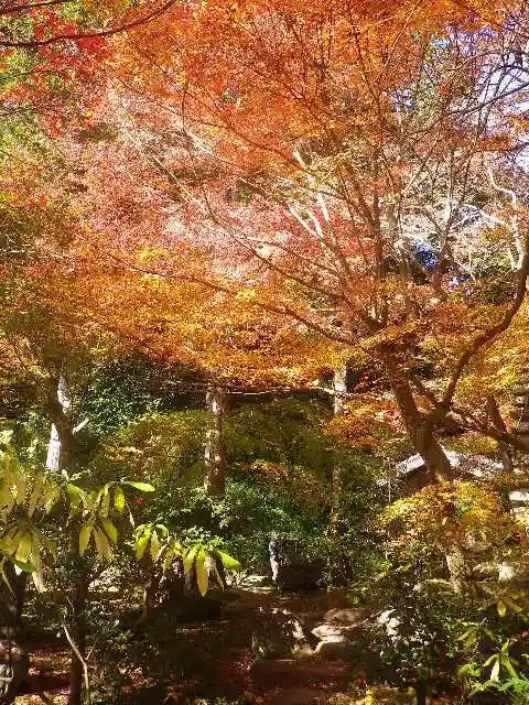 覚園寺の自然