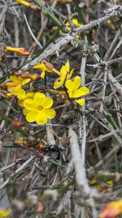 玉田神社(京都府)