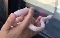 清光院(静岡県)