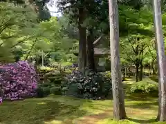 三千院門跡の庭園