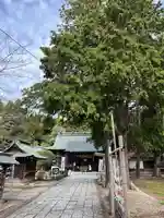 青葉神社(宮城県)