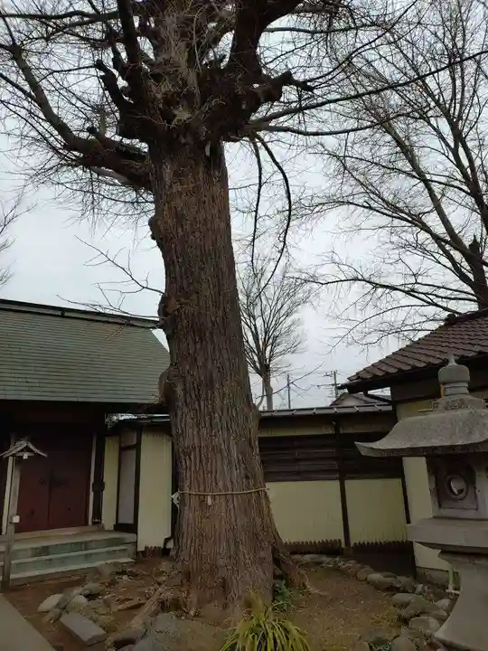 蘇我比咩神社(千葉県)