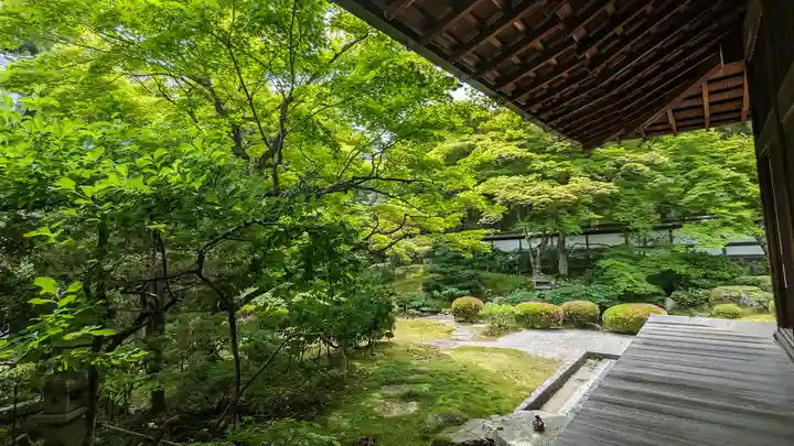 御寺 泉涌寺(京都府)