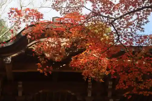 満願寺の末社