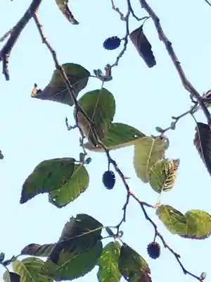 六甲比命大善神社の自然