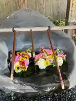 盛岡八幡宮(岩手県)