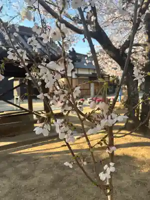 大年神社(兵庫県)