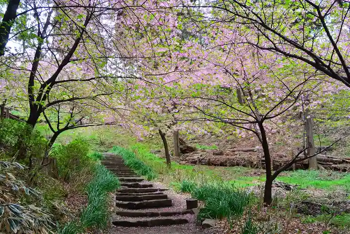 永谷天満宮(神奈川県)