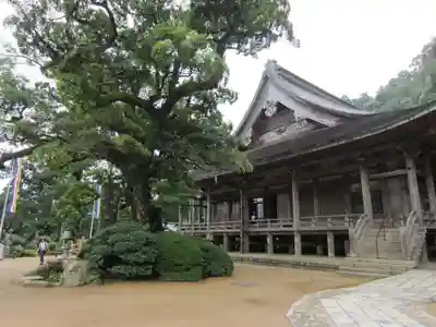 青岸渡寺の本殿・本堂