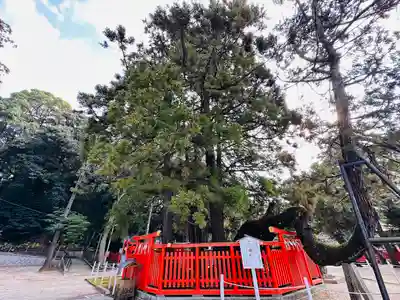 香椎宮(福岡県)