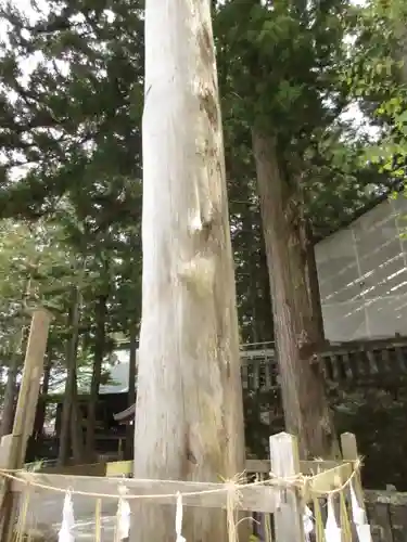 諏訪大社のその他建物