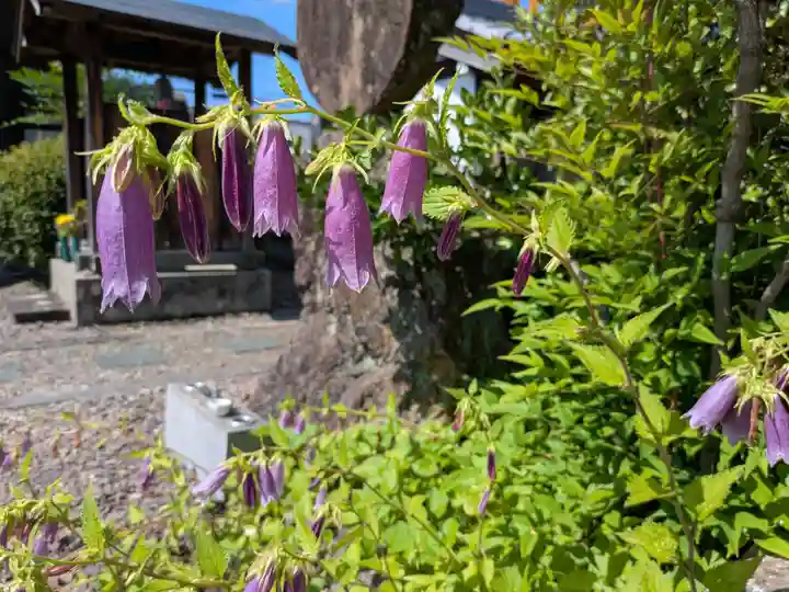 浄性寺(岐阜県)