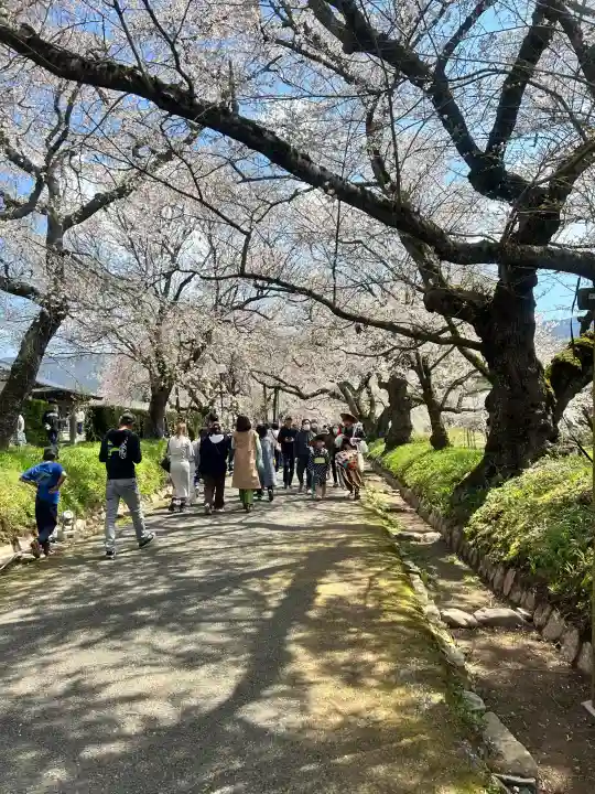 徳佐八幡宮の{uncategorized: "未分類", other: "その他", undefined: "問題あり", building: "その他建物", grave: "お墓", sacred_gate: "鳥居", guardian: "狛犬", statue: "像", buddha: "仏像", history: "歴史", nature: "自然", garden: "庭園", animal: "動物", pagoda: "塔", temizu: "手水舎", mountain_gate: "山門・神門", sanctuary: "本殿・本堂", subordinate: "末社・摂社", art: "芸術", scenery: "景色", jizo: "地蔵", ema: "絵馬", goshuin: "御朱印", omikuji: "おみくじ", items: "授与品その他", amulet: "お守り", goshuincho: "御朱印帳", eats: "食事", festival: "お祭り", votive_dance: "神楽", shichigosan: "七五三参", wedding: "結婚式", experience: "体験その他", initially: "初詣", around: "周辺", anti_infection: "感染症対策"}
