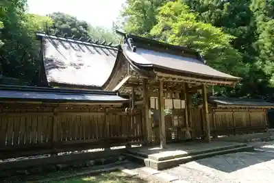 若狭彦神社（上社）の本殿・本堂