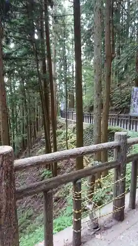 武蔵御嶽神社の自然