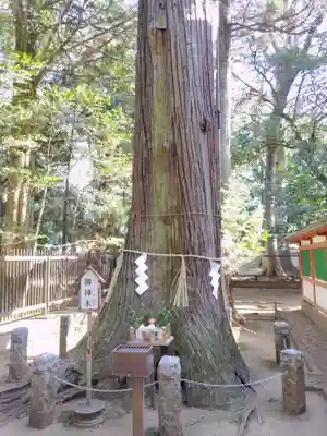 一言主神社(茨城県)