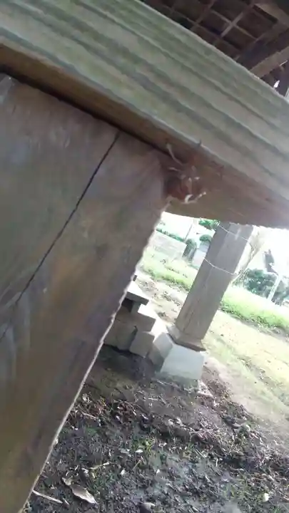酒門神社の動物