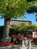 鴻神社(埼玉県)