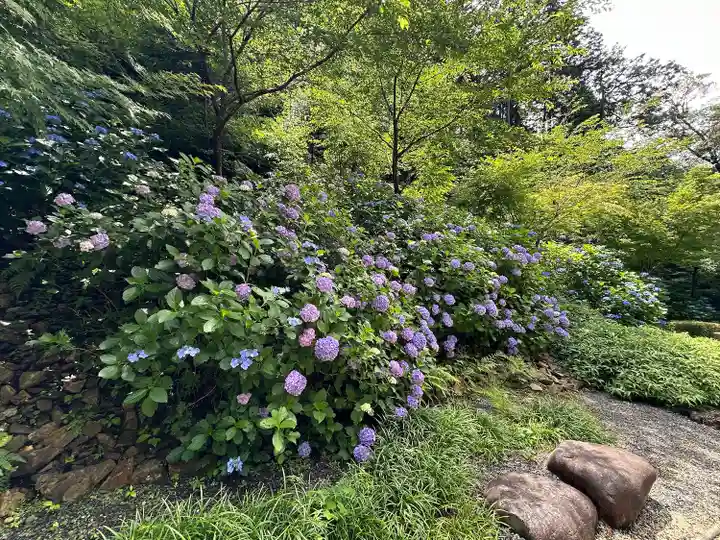 大縣神社(愛知県)