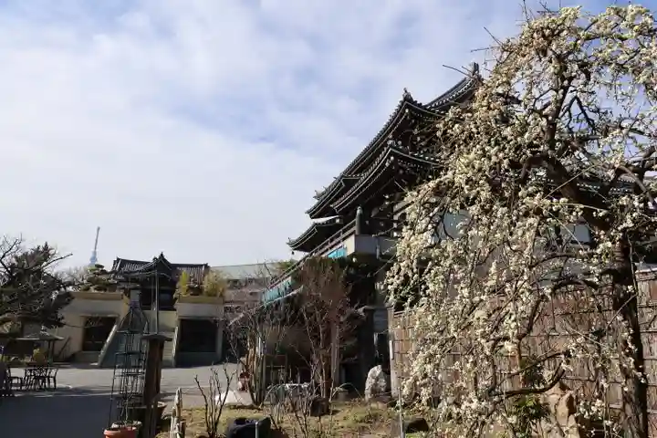 燈明寺(東京都)