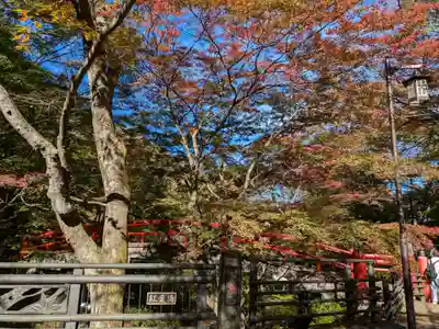 湯元 隻腕不動尊(伊香保温泉)の周辺