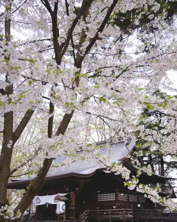 青森縣護國神社(青森県)